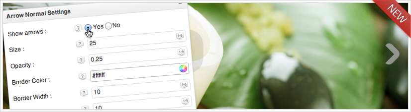 Complete Gallery Manager - Arrow Settings Touch Slider