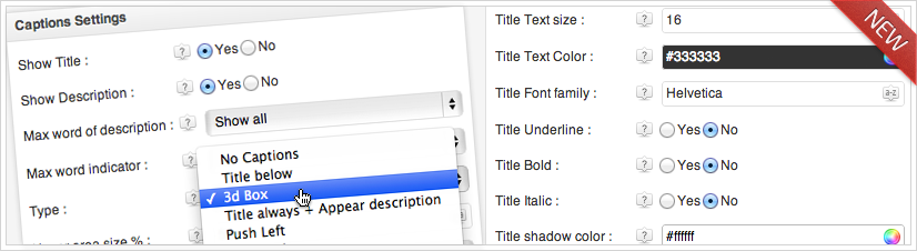 Complete Gallery Manager - Captions Settings