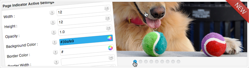 Complete Gallery Manager - Page Indicators Touch Slider